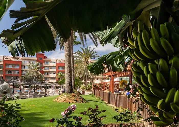 度假村 Elba Carlota & Golf 4*